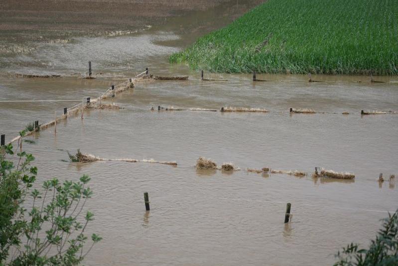 Inundatii, Foto: Gerfriedscholz, Dreamstime.com