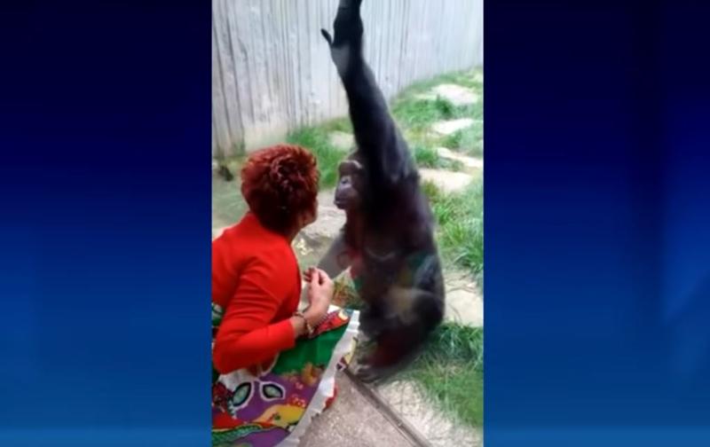 Addie Timmermans si Chita, Foto: Captura YouTube