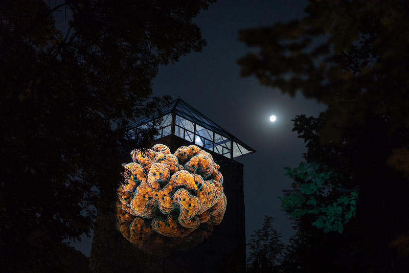 Max Cooper (foto Catalin Georgescu), Foto: Amural