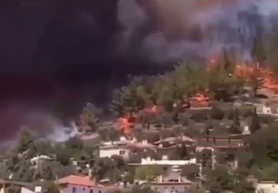 Incendii de vegetatie Turcia, Foto: Captura video
