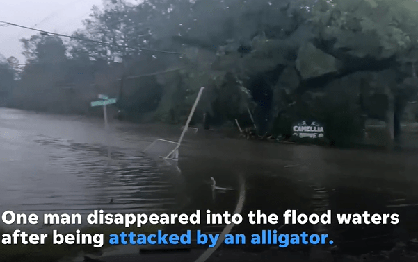 barbat disparut in Louisiana dupa ce a fost atacat de un crocodil pe strazile inundate, Foto: Captura video