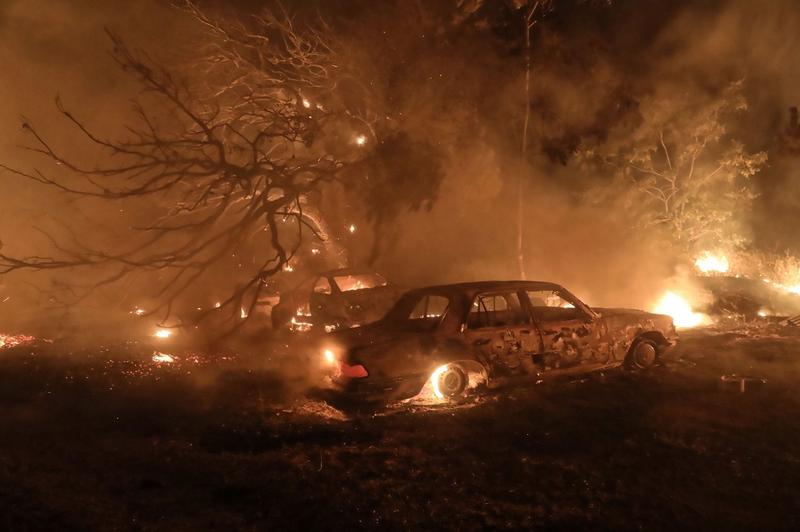 Incendiile de vegetatie au mistuit suburbiile din nordul Atenei, Foto: Intime News-Athena Pictures / Shutterstock Editorial / Profimedia