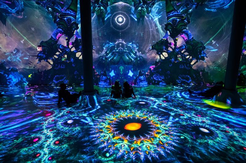 Constiinta umana ar putea fi explicata de fractalii cuantici, Foto: Adam Gray / SWNS / Profimedia Images