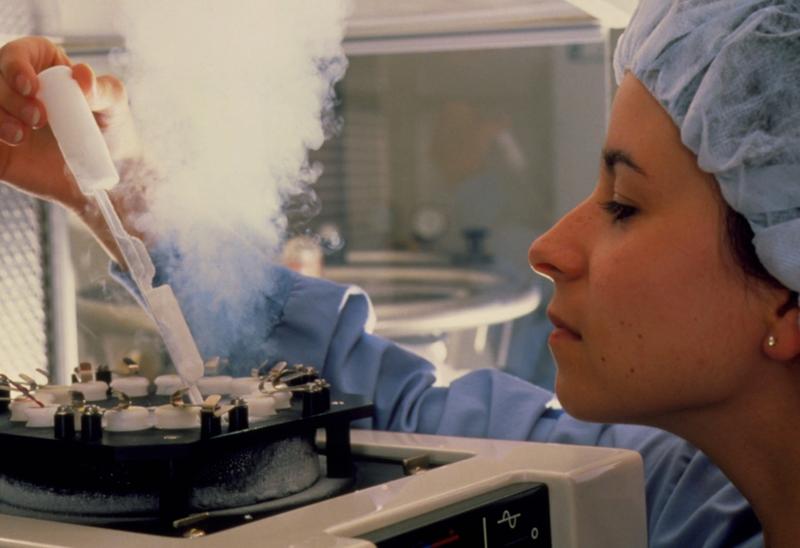 Embrion pastrat prin criogenie, Foto: Hank Morgan / Sciencephoto / Profimedia Images