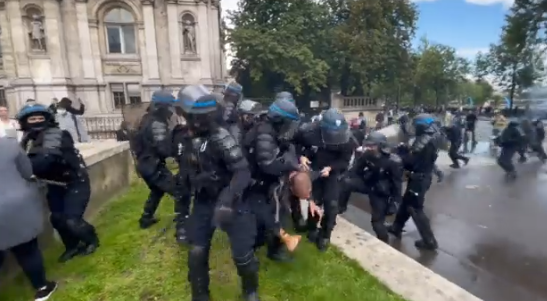 Proteste Franta, Foto: Captura video