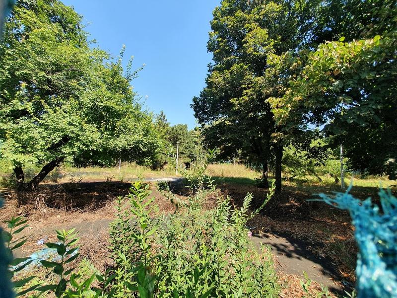 Parcul Codrii Neamțului - prezent , Foto: HotNews.ro