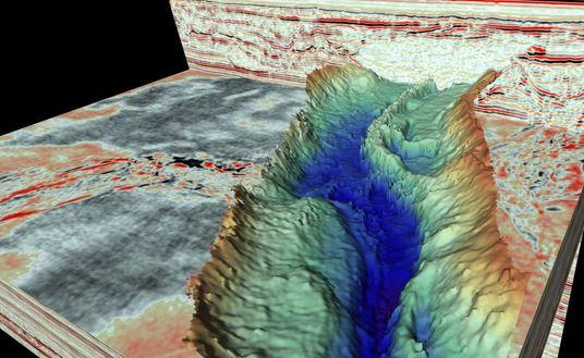 Vai impresionante pe fundul marii Nordului, Foto: British Antarctic Survey