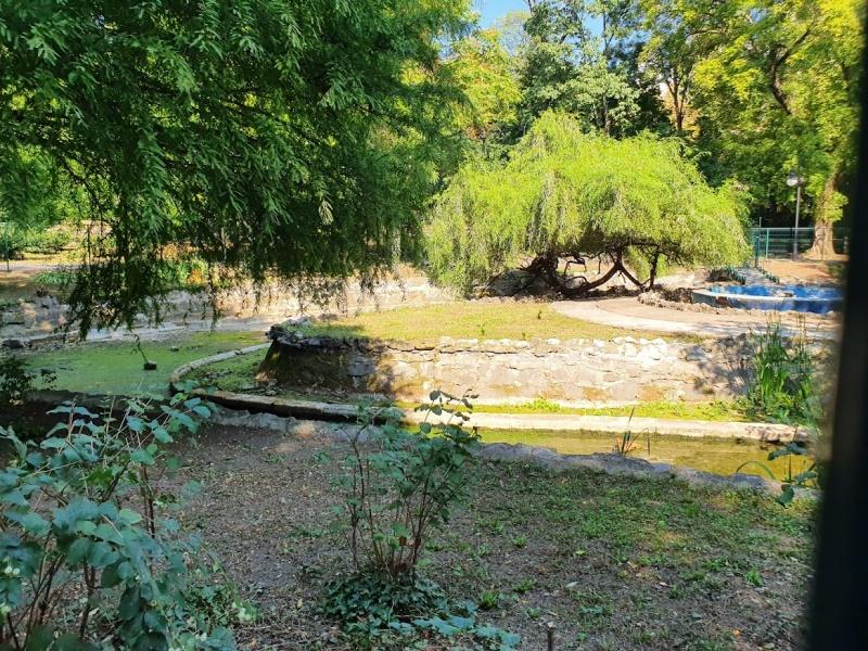 Parcul Cismigiu - septembrie 13, Foto: Hotnews