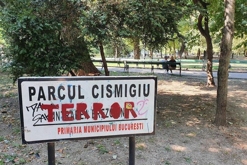 Parcul Cismigiu - septembrie 20, Foto: Hotnews