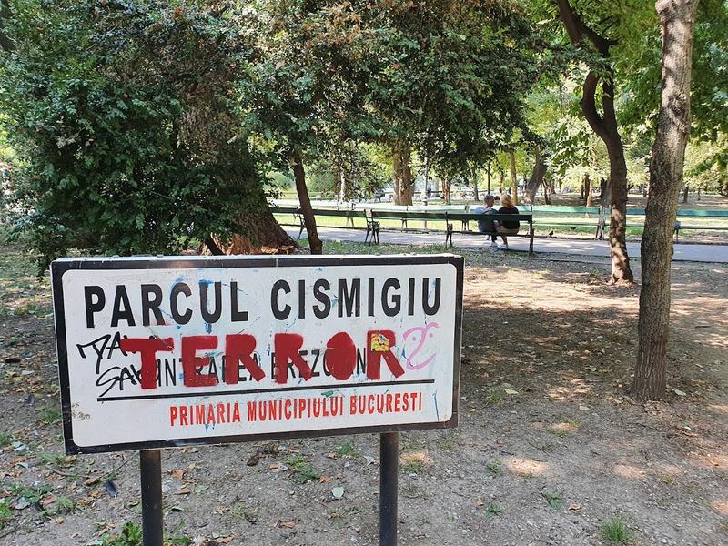 Parcul Cismigiu - septembrie 20, Foto: Hotnews