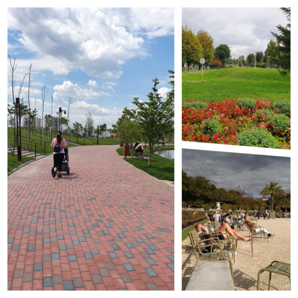 Dezbatere publică parcuri, Foto: Hotnews