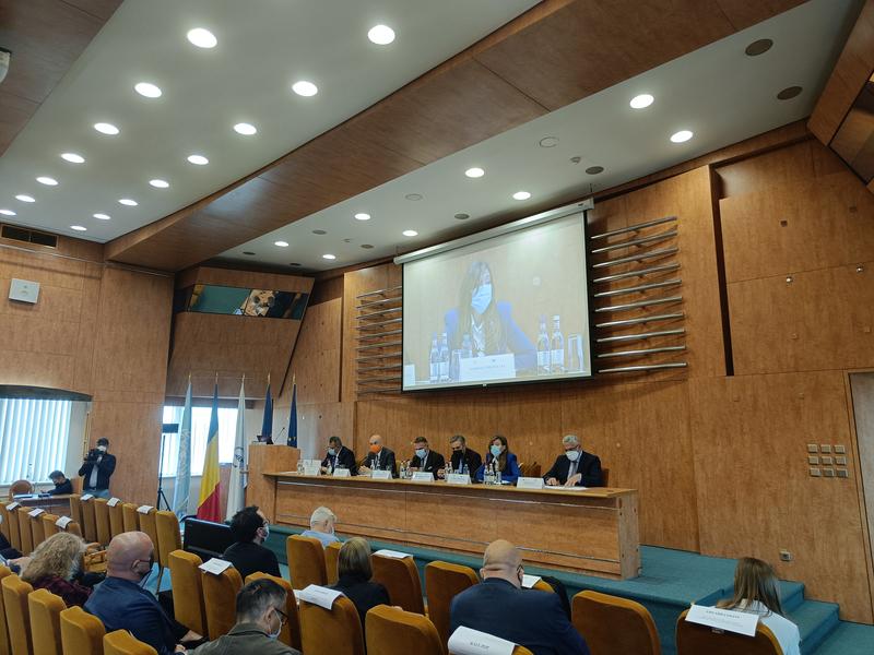 Teodora Preoteasa - director genera Ministerul Investitiilor, Foto: Hotnews