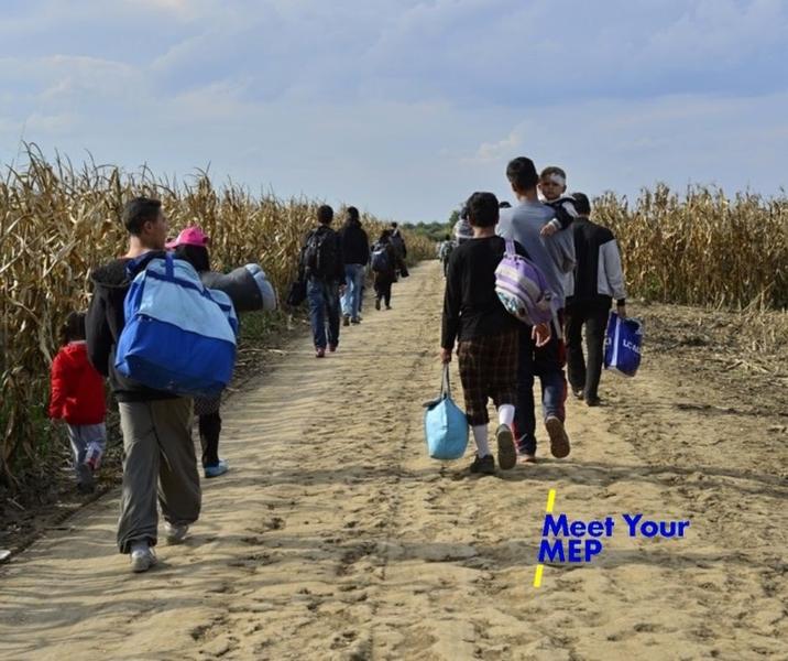 Refugiati din diferite tari, la granita sarbo-croata, Foto: dreamstime.com