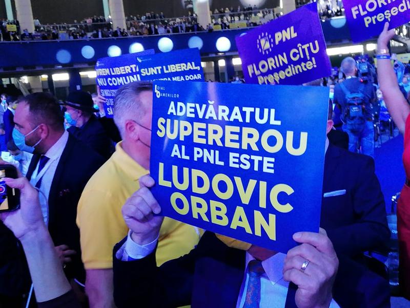 Sustinatori Orban, Foto: Hotnews