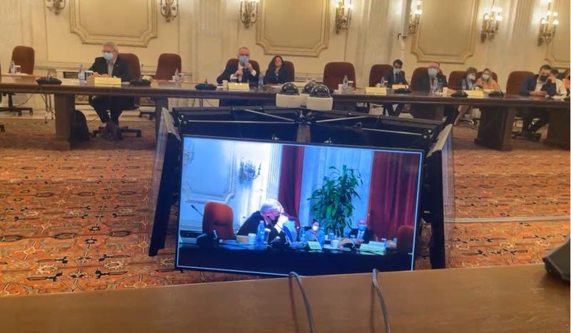 Live din sedinta Birourilor Permanente, Foto: Captura video