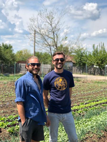 Antreprenorii Mihai si Gabriel Corbu fondatorii afacerii legumicole Grădina Corbilor, Foto: Hotnews