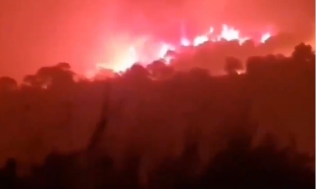 incendiu forestier Spania, Foto: Captura video