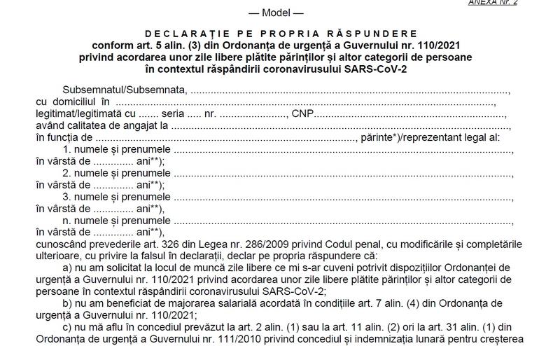 Zile libere pentru parinti - declaratie, Foto: Hotnews