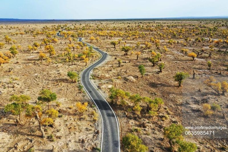 Imagine din Xinjiang, Foto: Profimedia Images