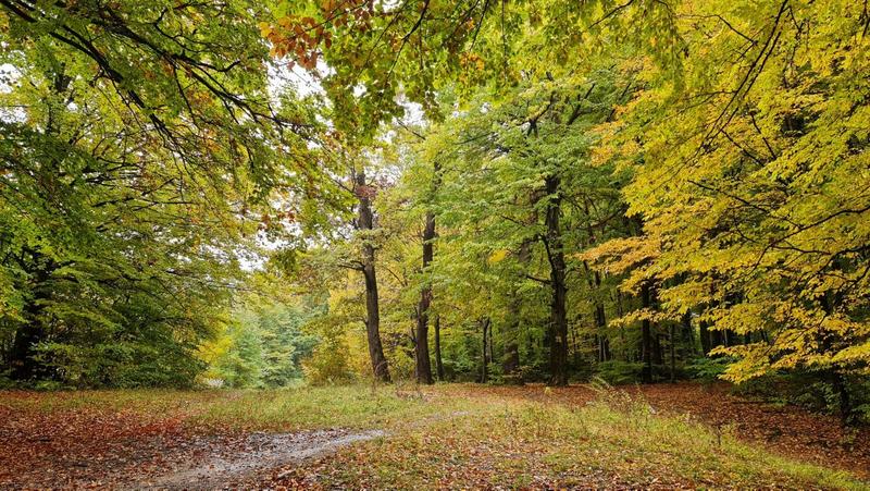 Vreme caldă și ploioasă în România