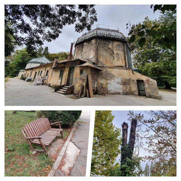 Colaj Grădina Botanica, Foto: Hotnews