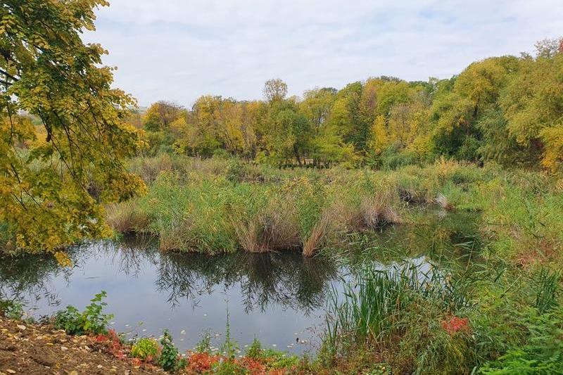 Parcul Sticlariei 22, Foto: Hotnews