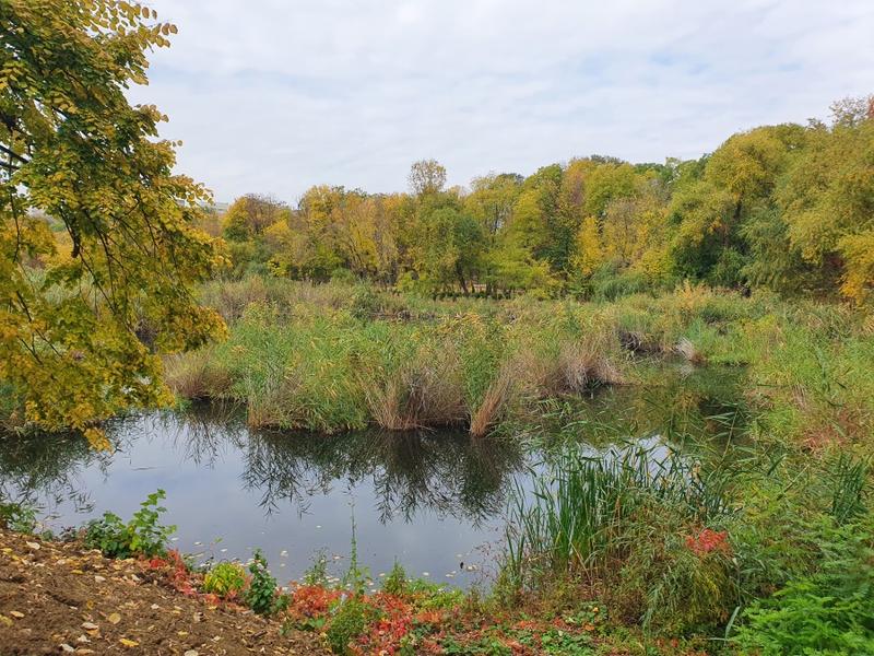 Parcul Sticlariei 22, Foto: Hotnews