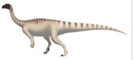 Dinozaur Mussaurus, Foto: Wikipedia