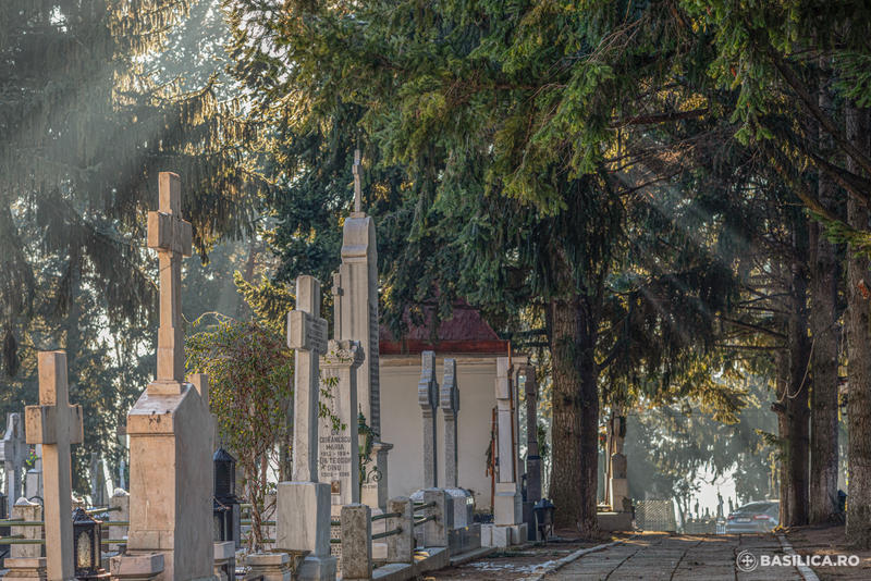 Cimitirul Cernica, Foto: Basilica.ro