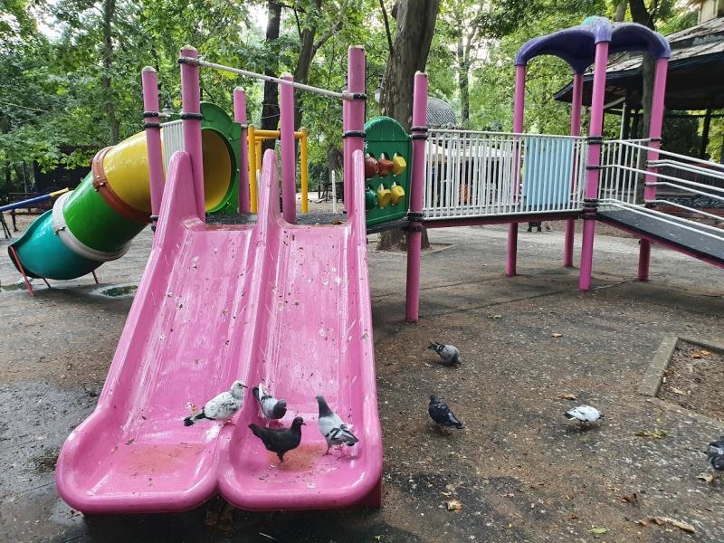 Parcul Cismigiu, Foto: Hotnews