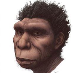 Homo bodoensis, Foto: Ettore Mazza