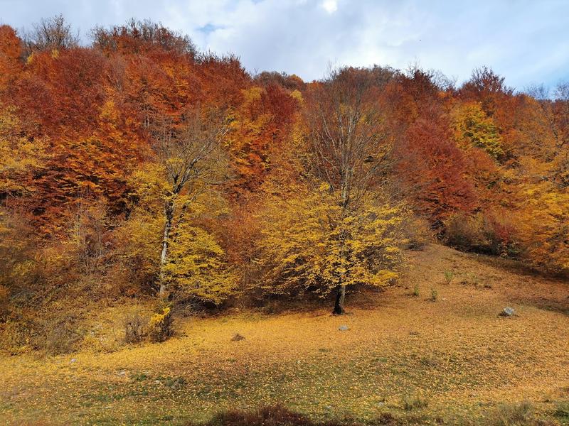 Peisaj de toamna, Foto: Adrian Ilincescu/ HotNews.ro