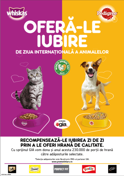 Iată care sunt cele mai frecvente mituri asociate cu adopțiile, Foto: Pedigree