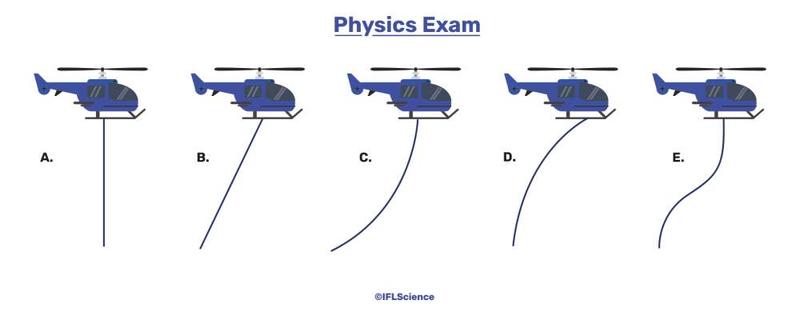Diagramele cu raspunsurile, Foto: IFL Science