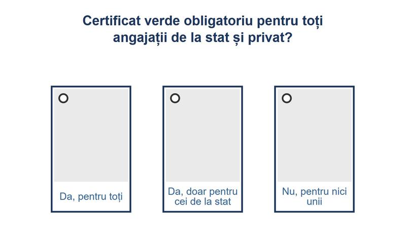 Sondaj certificat verde, Foto: Hotnews