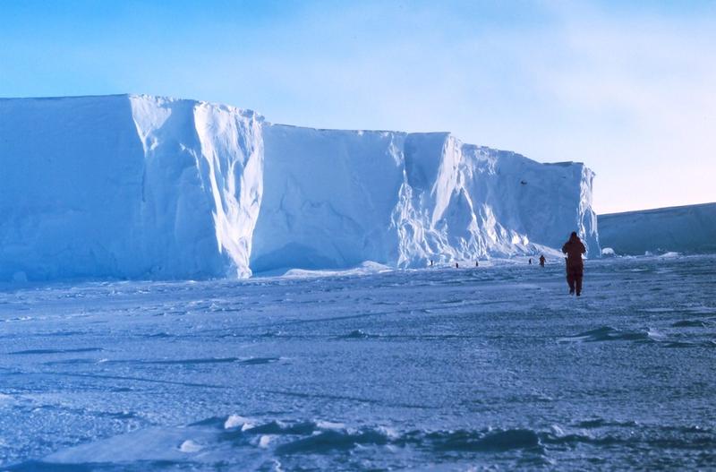 Banchiza Ross din Antarctica, Foto: Flickr