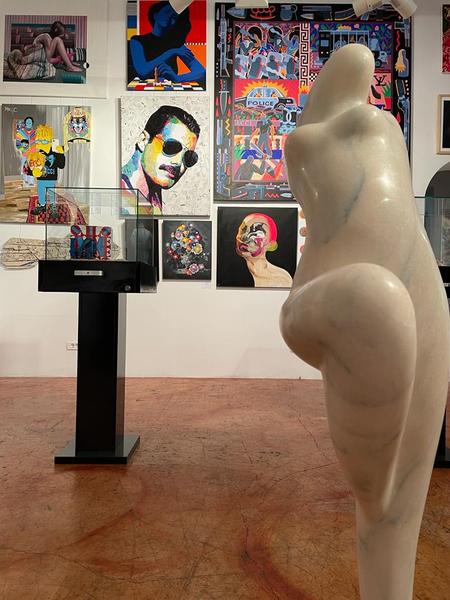 Freddie - Ovidiu Solcan, în expoziția Licitației de Artă Contemporană la Palatul Cesianu-Racoviță, Foto: Artmark