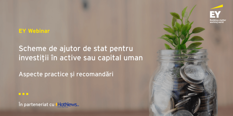 Webinar EY - Scheme de ajutor de stat pentru investiții, Foto: EY România