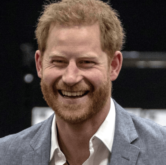 Prințul Harry a contribuit la un plan de acțiune pentru combaterea dezinformării, Foto: Wikipedia