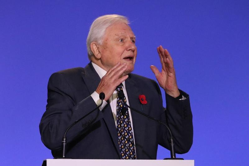 Sir David Attenborough, Foto: POOL / Zuma Press / Profimedia