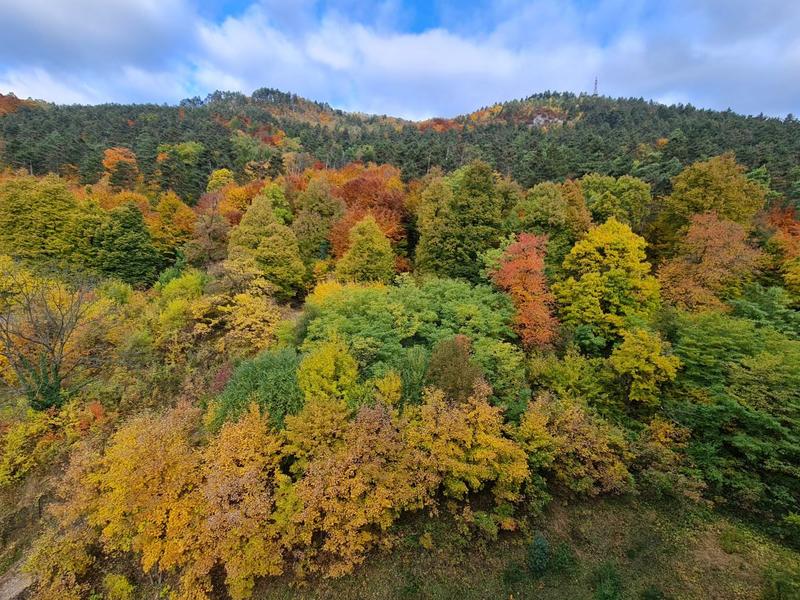 Culorile toamnei, Foto: Vlad Barza / HotNews.ro
