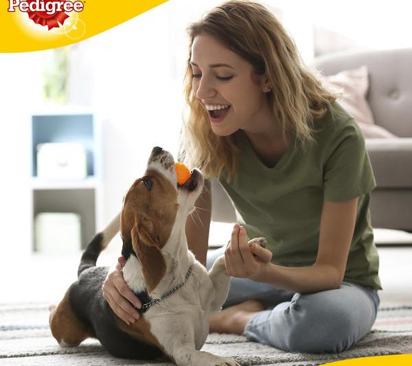 Obezitatea la câini, Foto: Pedigree