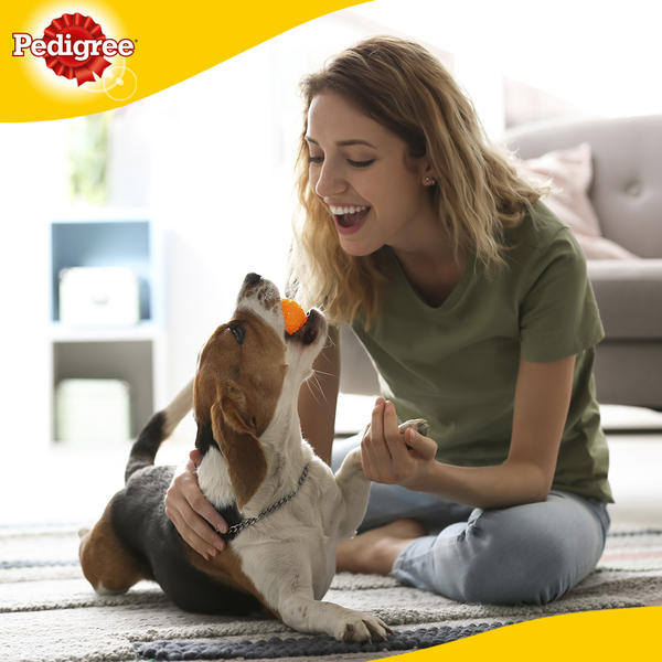 Obezitatea la câini, Foto: Pedigree