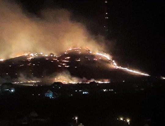 Incendiu de vegetaţie în Piatra Neamţ, Foto: News.ro