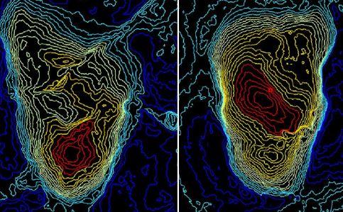 Laetoli A, urmele descoperite in Tanzania, Foto: Stephen Gaughan și James Adams