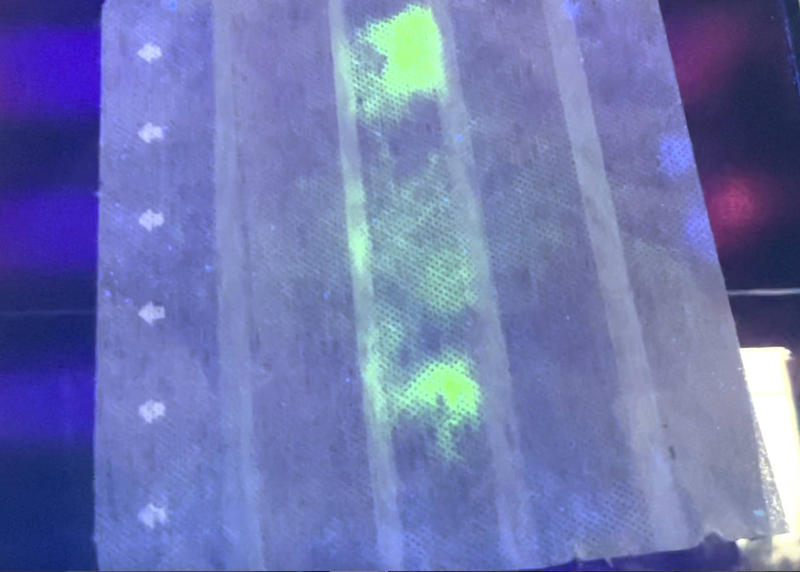 Masca creata de cercetatorii japonezi, Foto: Kyoto Prefectural University