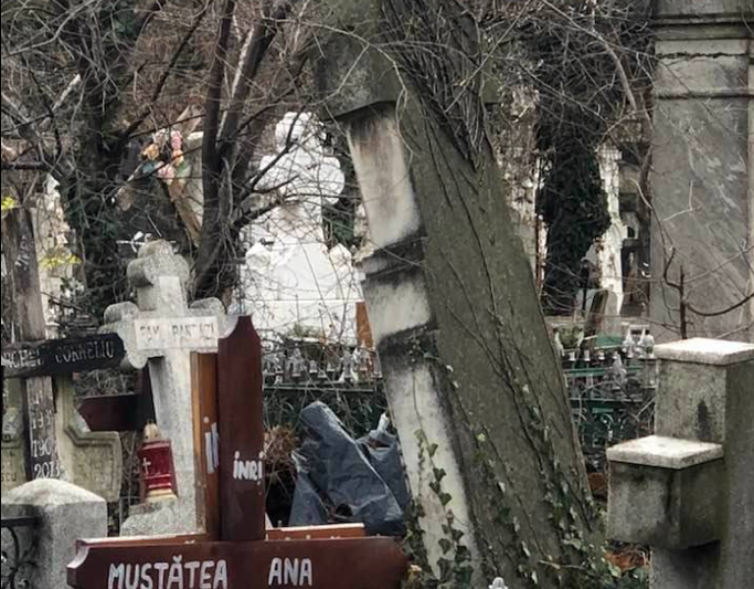 Cimitirul Bellu, Foto: Oana Pellea Facebook