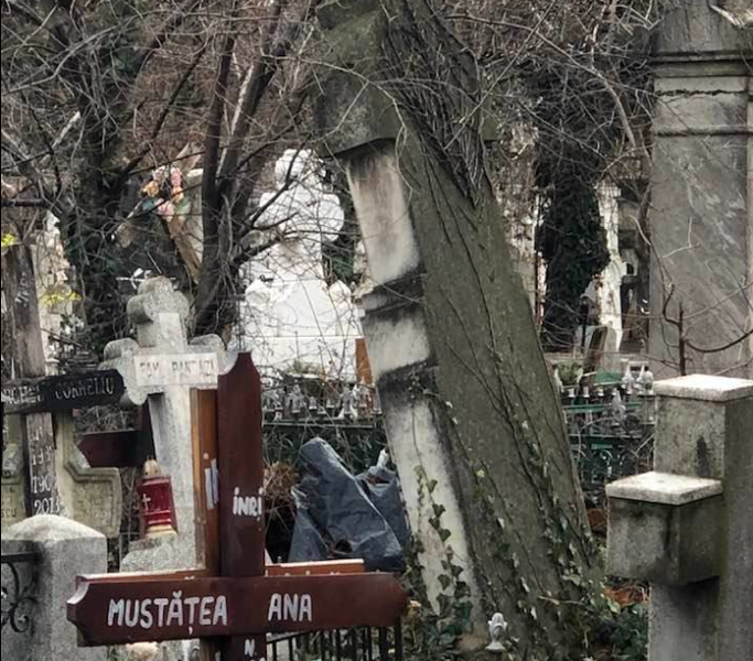 Cimitirul Bellu, Foto: Oana Pellea Facebook