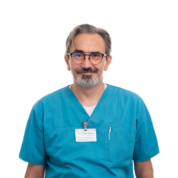 Dr Tuku Semina, Foto: The Vets