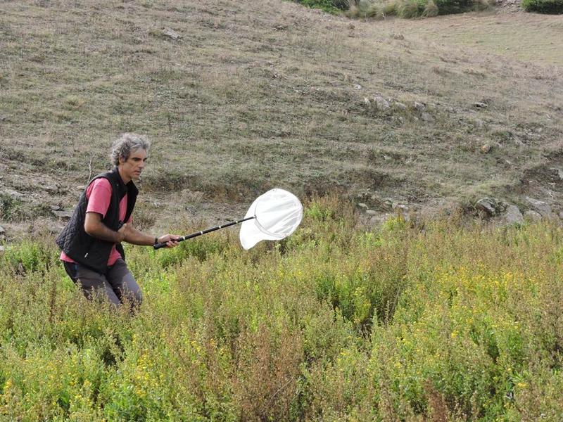 Constanti Stefanescu, Foto: Arhiva personala